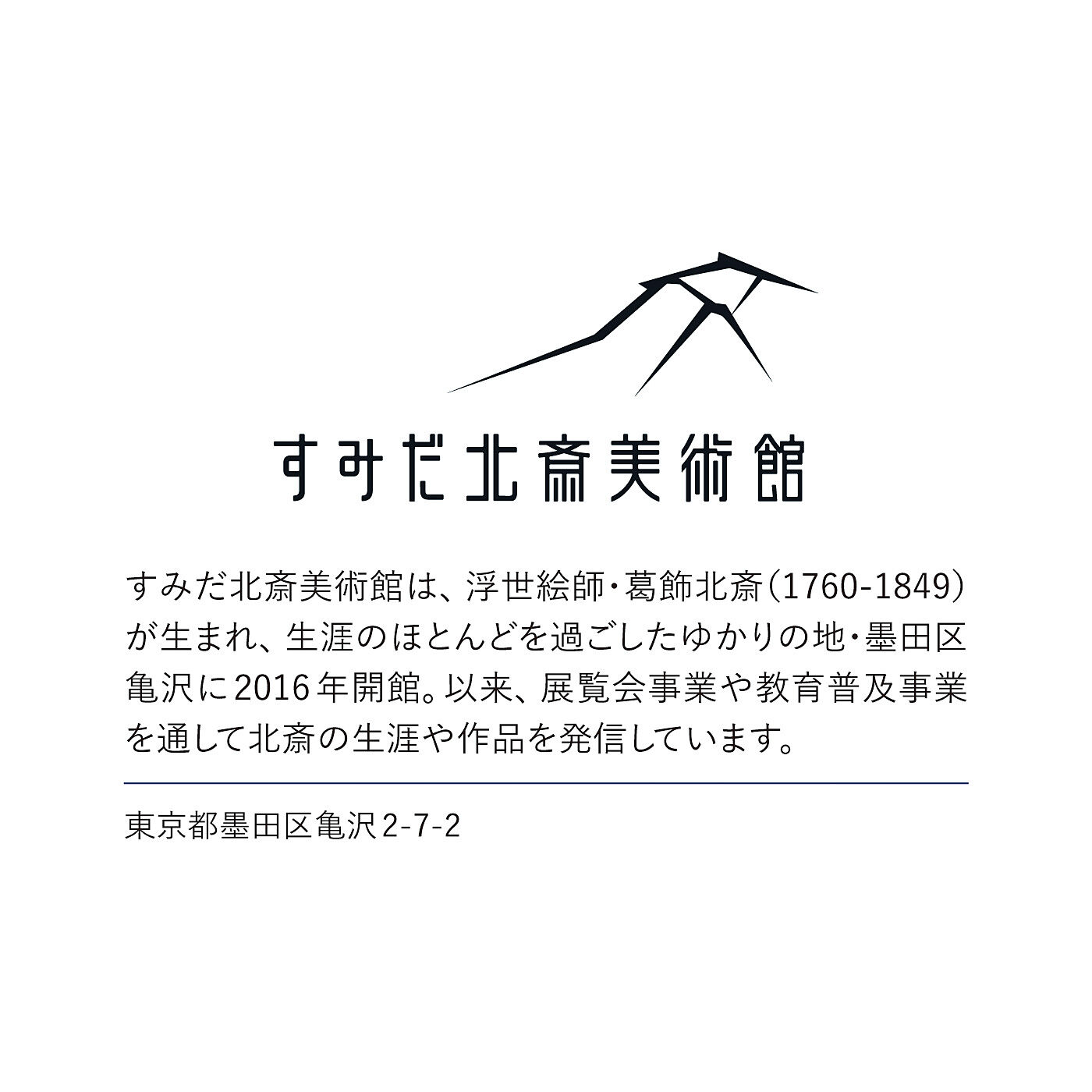 realstock [リアルストック]（Express BOX）|すみだ北斎美術館×ミュージアム部　北斎のデザインに江戸を夢見る　小粋な小紋柄の靴下〈鳩羽鼠〉