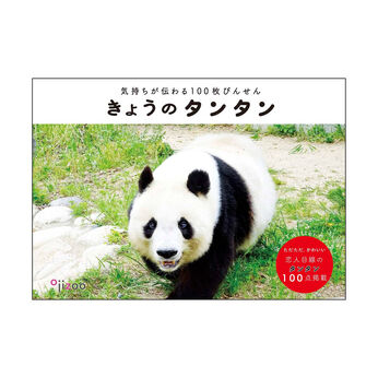 Real Stock | １００枚びんせんきょうのタンタン