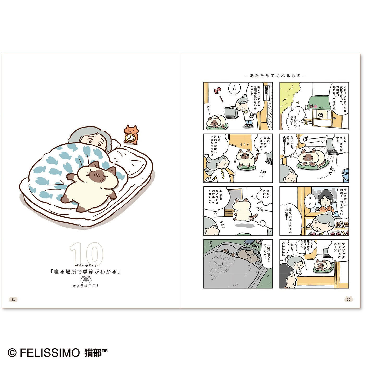 realstock [リアルストック]（Express BOX）|コミック『猫のおふくちゃん』第1巻