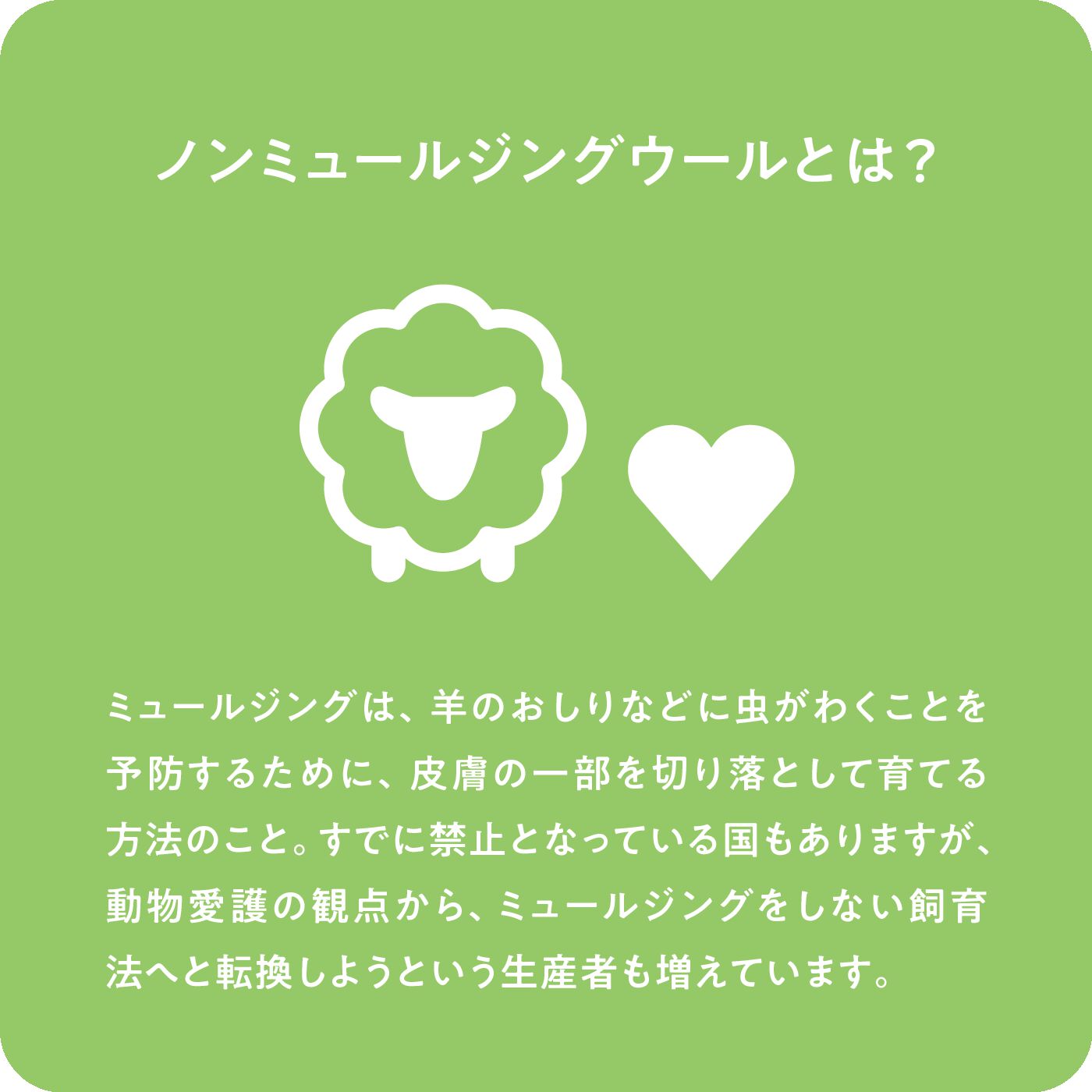 realstock [リアルストック]（Express BOX）|サーナ ヤ オッリ　肌側ふんわり総パイル　洗えるウール混のサウナみたいにあったかソックス