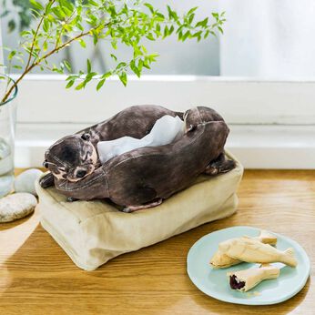 realstock [リアルストック]（Express BOX） | ２匹仲良く寄り添って眠るカワウソティッシュカバー