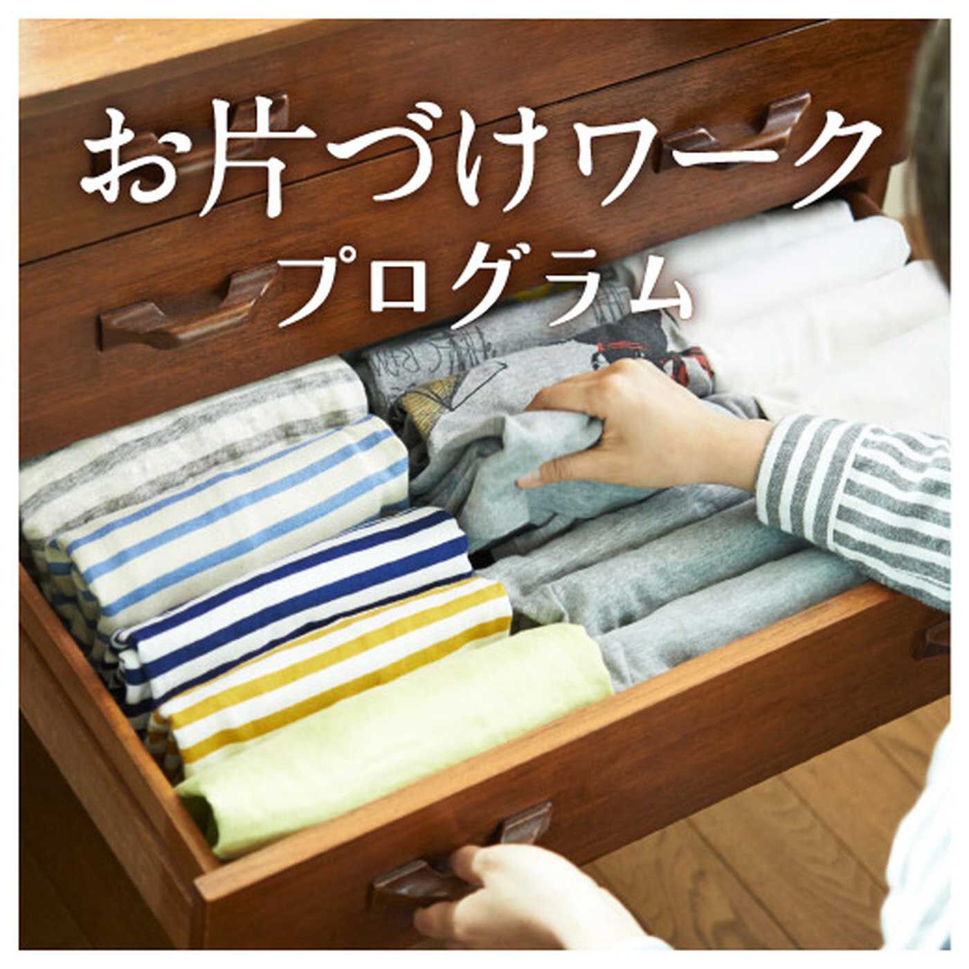 realstock [リアルストック]（Express BOX）|スモールステップだから身につく　お片づけワークプログラム