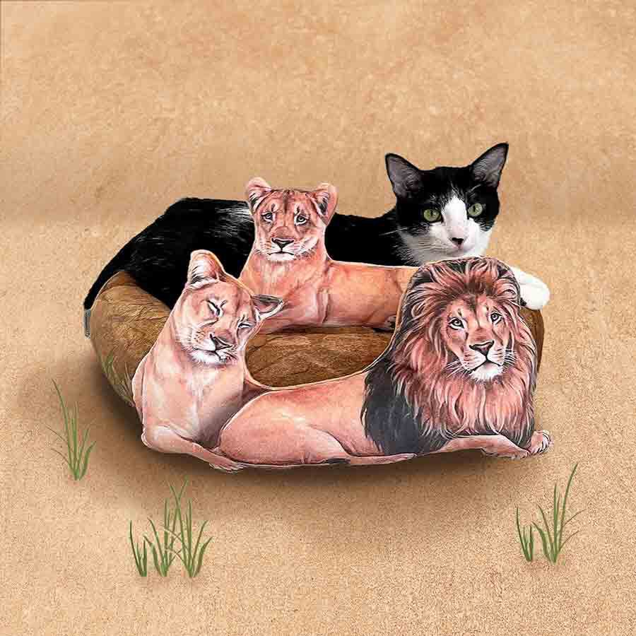 realstock [リアルストック]（Express BOX）|YOU＋MORE!×猫部　百獣の王の頂点に君臨する猫ベッド|モデル猫：体重6kg