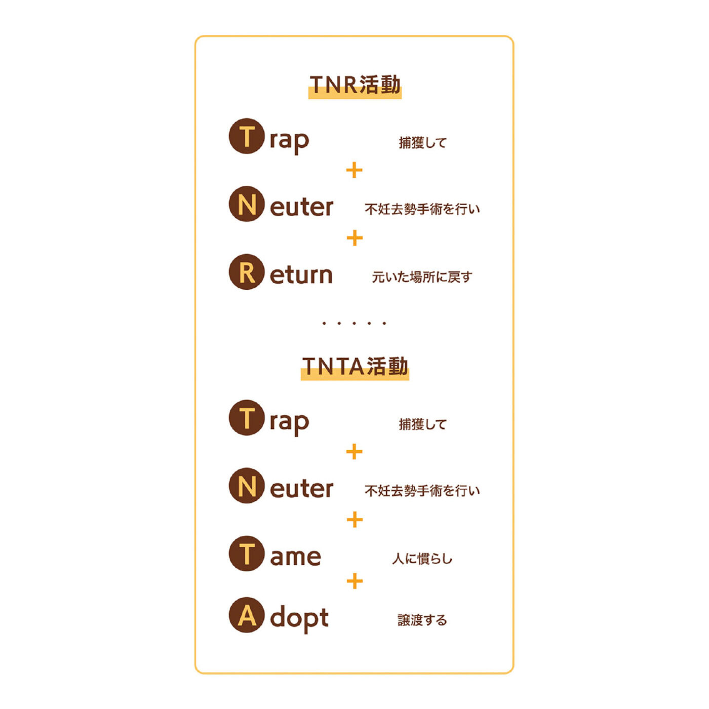 Real Stock|山村東×猫部　地域猫チャリティークリアファイル2022