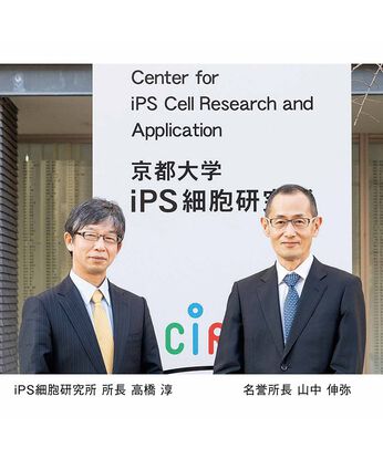 フェリシモメリー | ｉＰＳ細胞研究支援