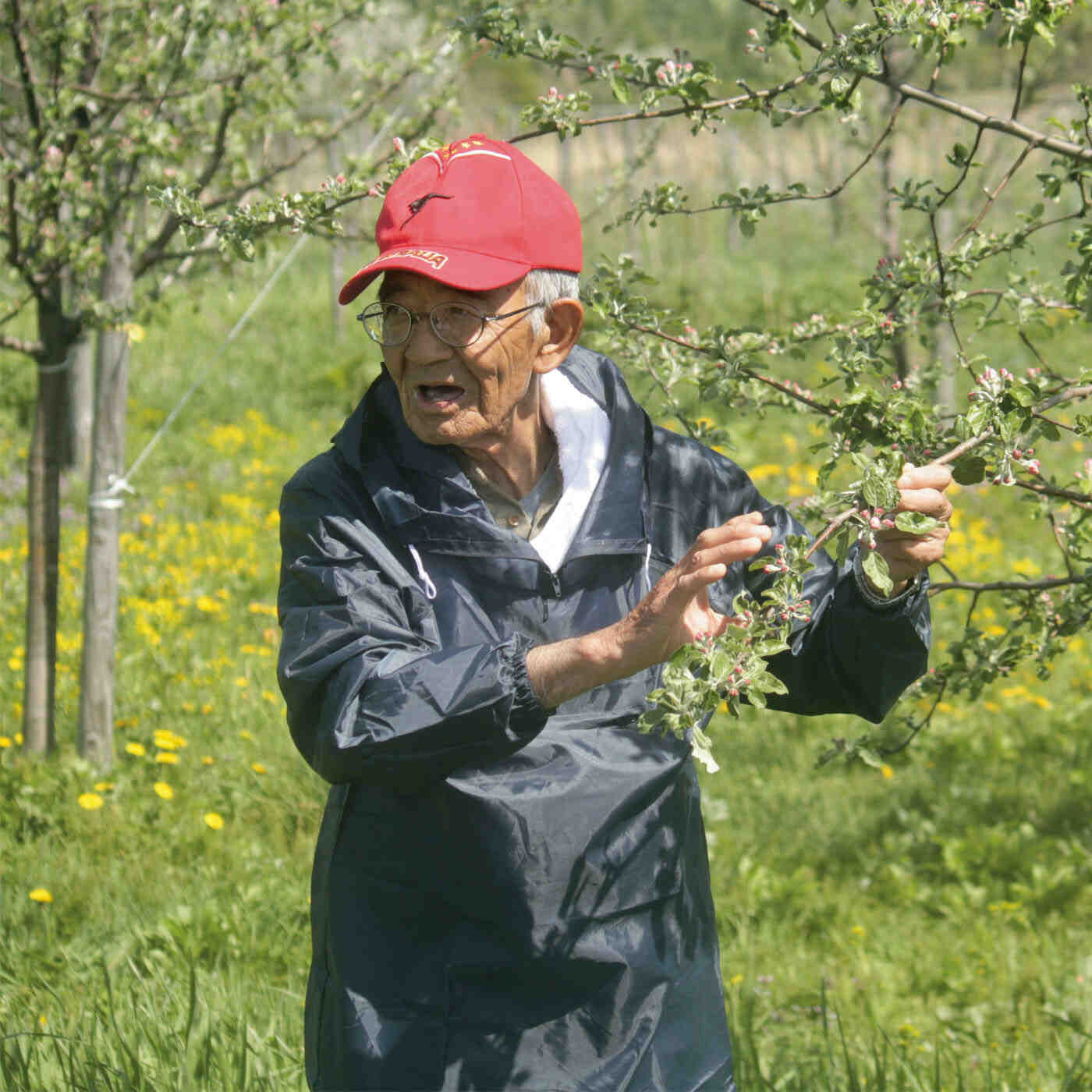 フェリシモメリー|Hokkaido木村秋則自然栽培農学校と木村秋則さんの指導活動支援