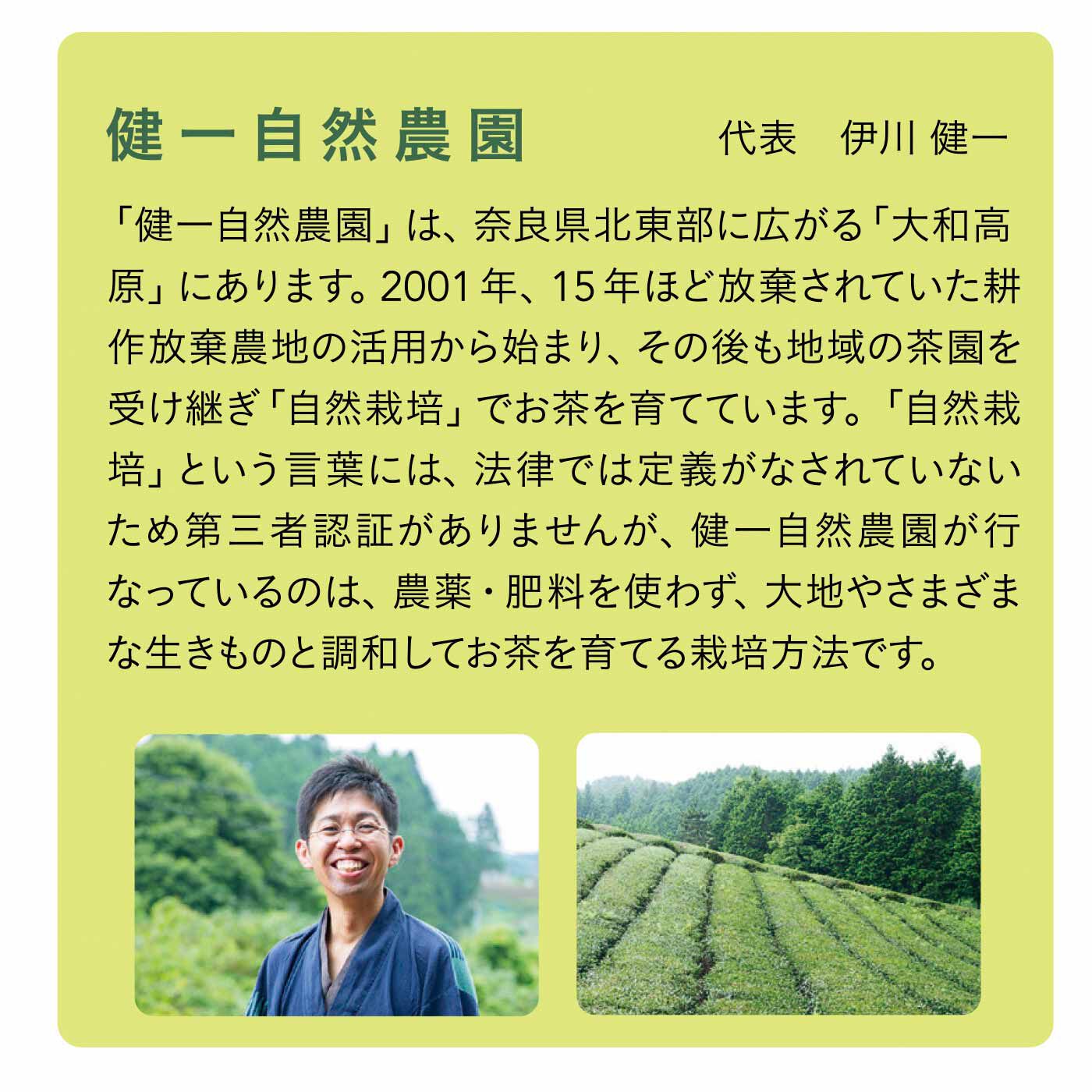 フェリシモメリー|奈良「健一自然農園」 国産いちごをとじこめた初摘み和紅茶〈ティーバッグ〉