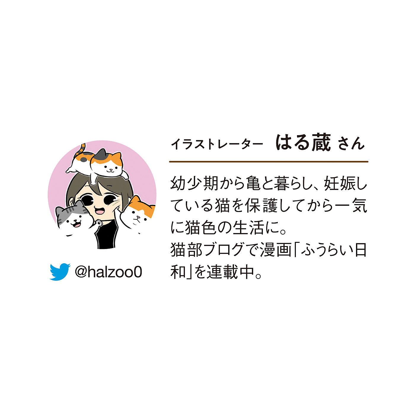 フェリシモメリー|はる蔵さんとコラボ　足もとから元気さくれつ！　かわいい猫ちゃん靴下の会