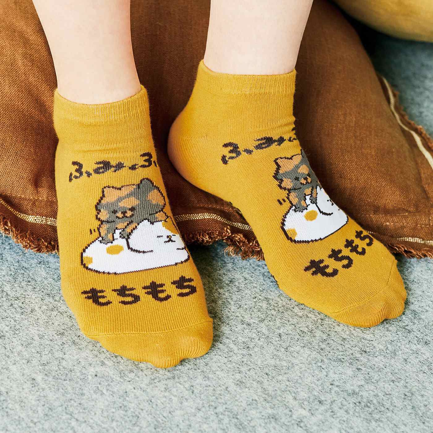 フェリシモメリー|はる蔵さんとコラボ　足もとから元気さくれつ！　かわいい猫ちゃん靴下の会