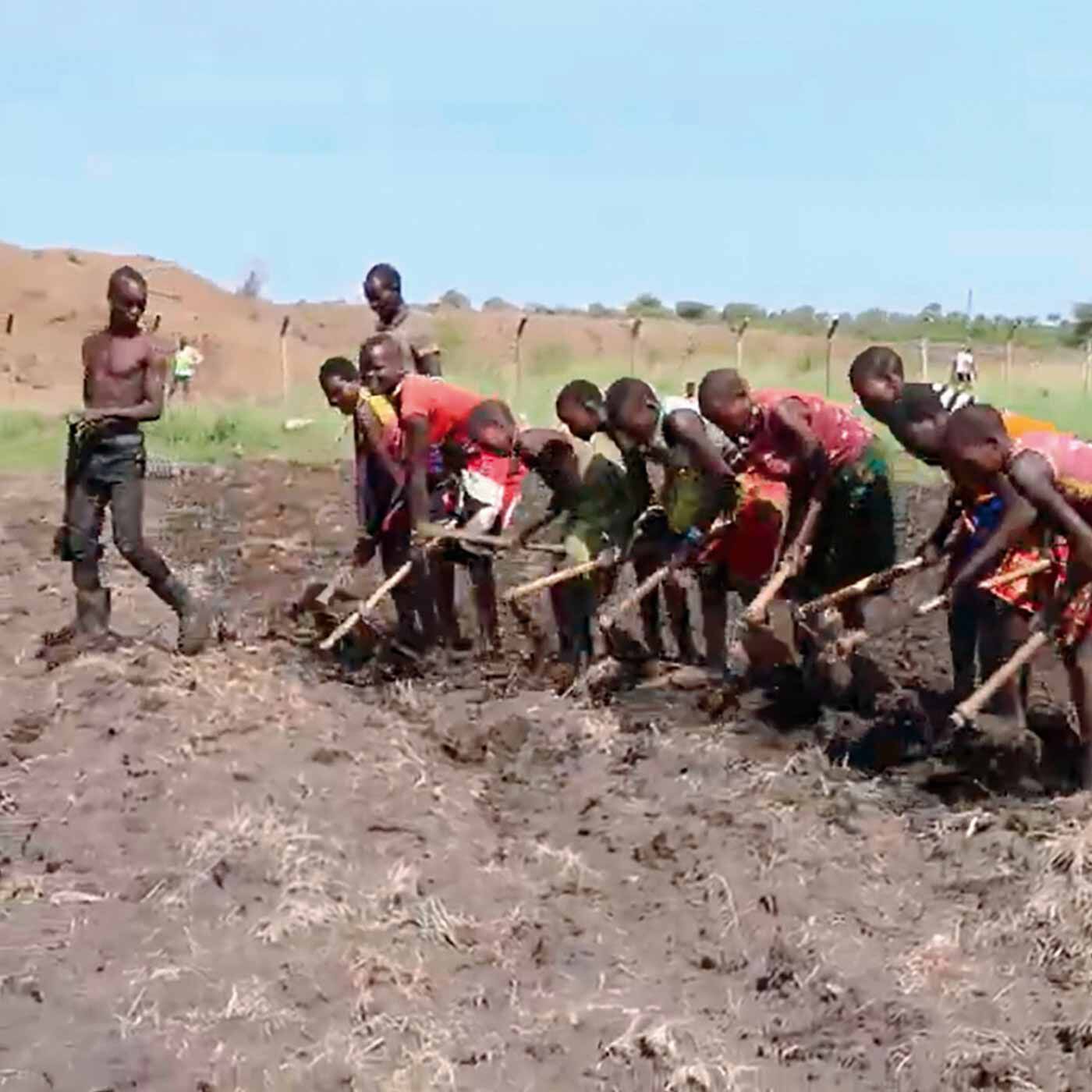 フェリシモメリー|ウガンダ カラモジャ地域の農業支援を応援 Aコース 1,500merry|若者たちによる荒地の開墾