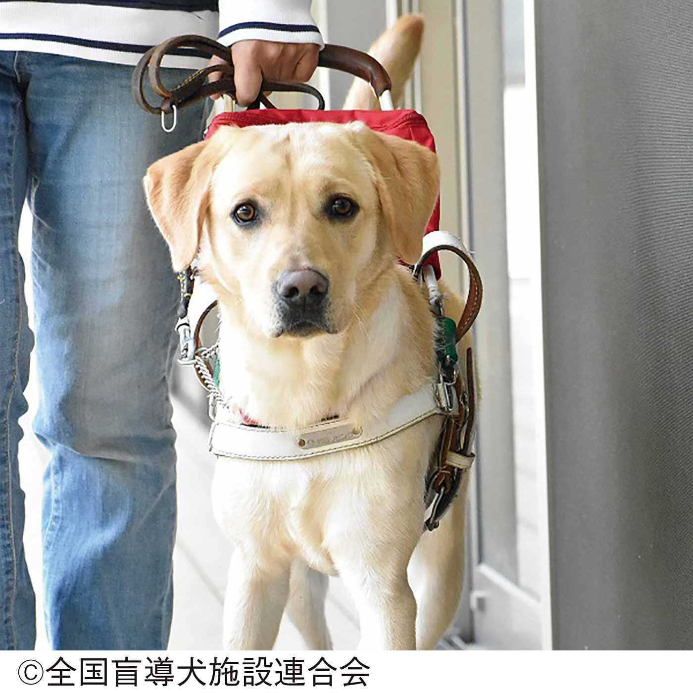 merry［フェリシモメリーポイント］|盲導犬育成支援