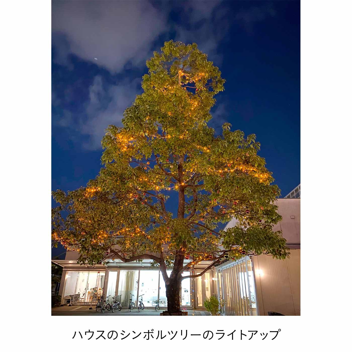 merry［フェリシモメリーポイント］|難病のこどもたちとその家族を支える活動支援