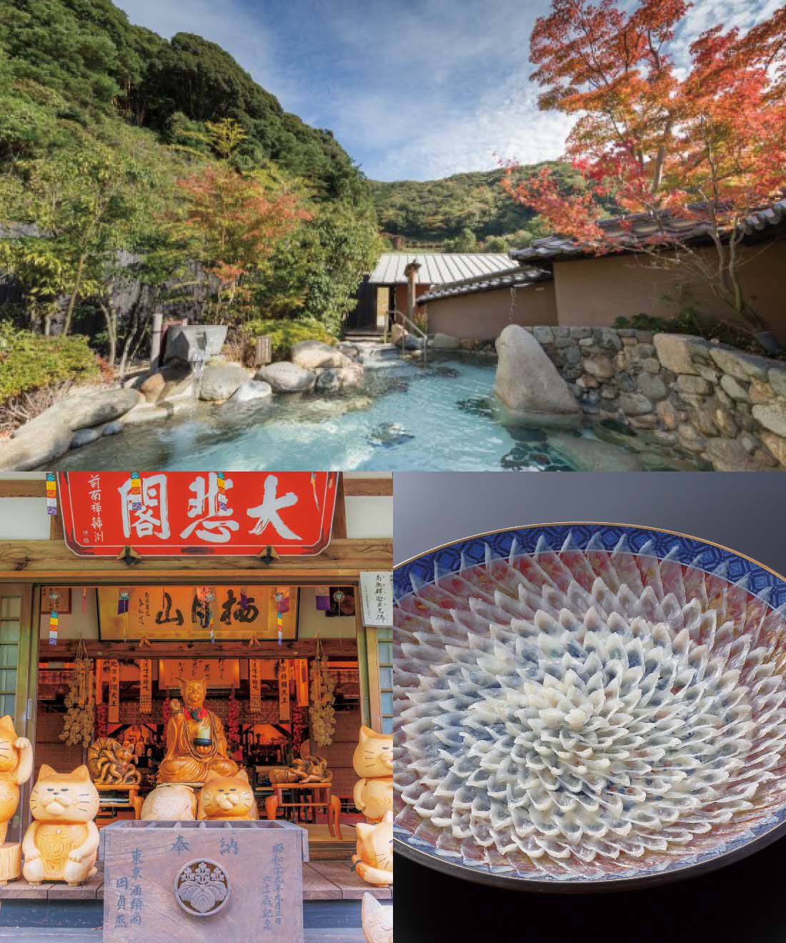 フェリシモメリー|【夢くじ】猫のように気ままに過ごす 山口旅|山口県の魅力を存分に味わえる妄想旅プランをご用意しました！