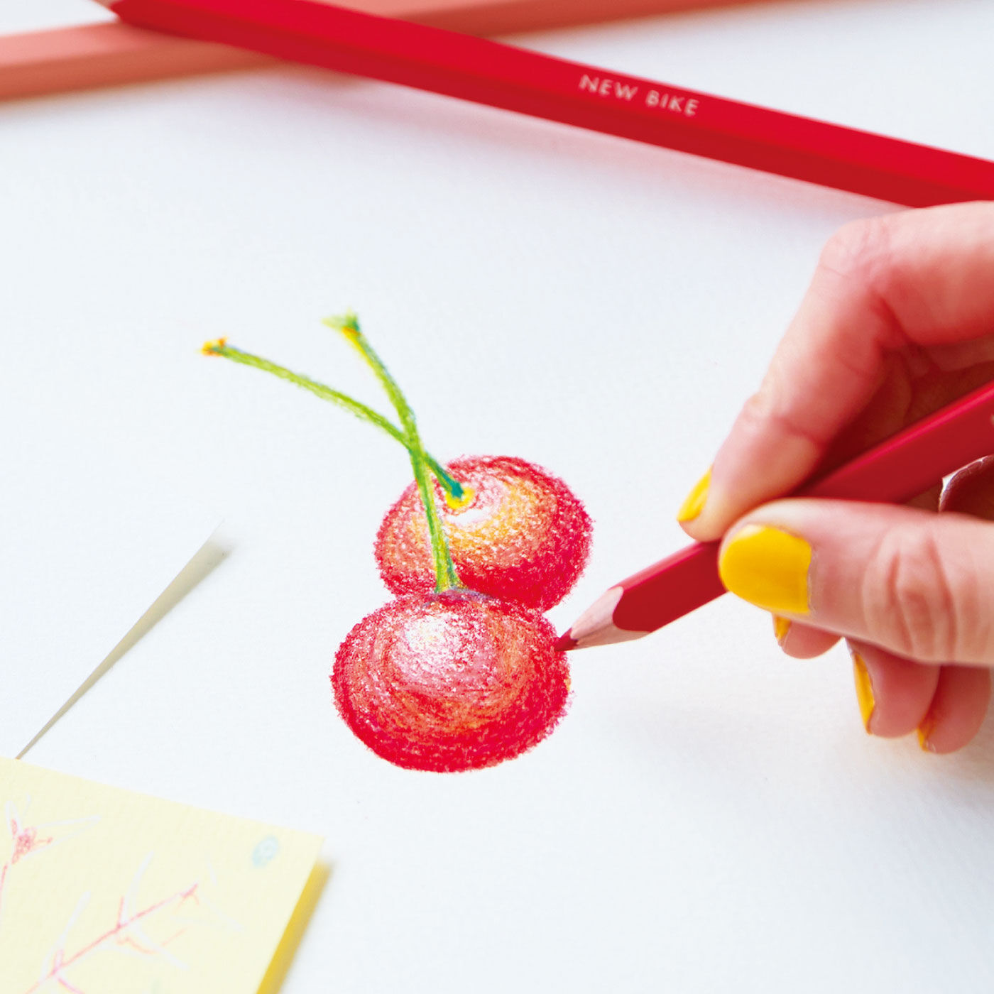 フェリシモコレクション|500色の色えんぴつ　TOKYO SEEDS