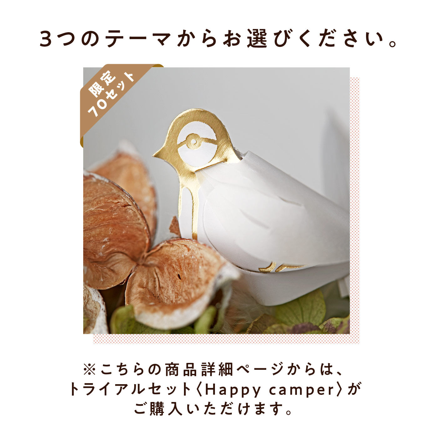 フェリシモコレクション|トライアルセット〈Happy camper〉