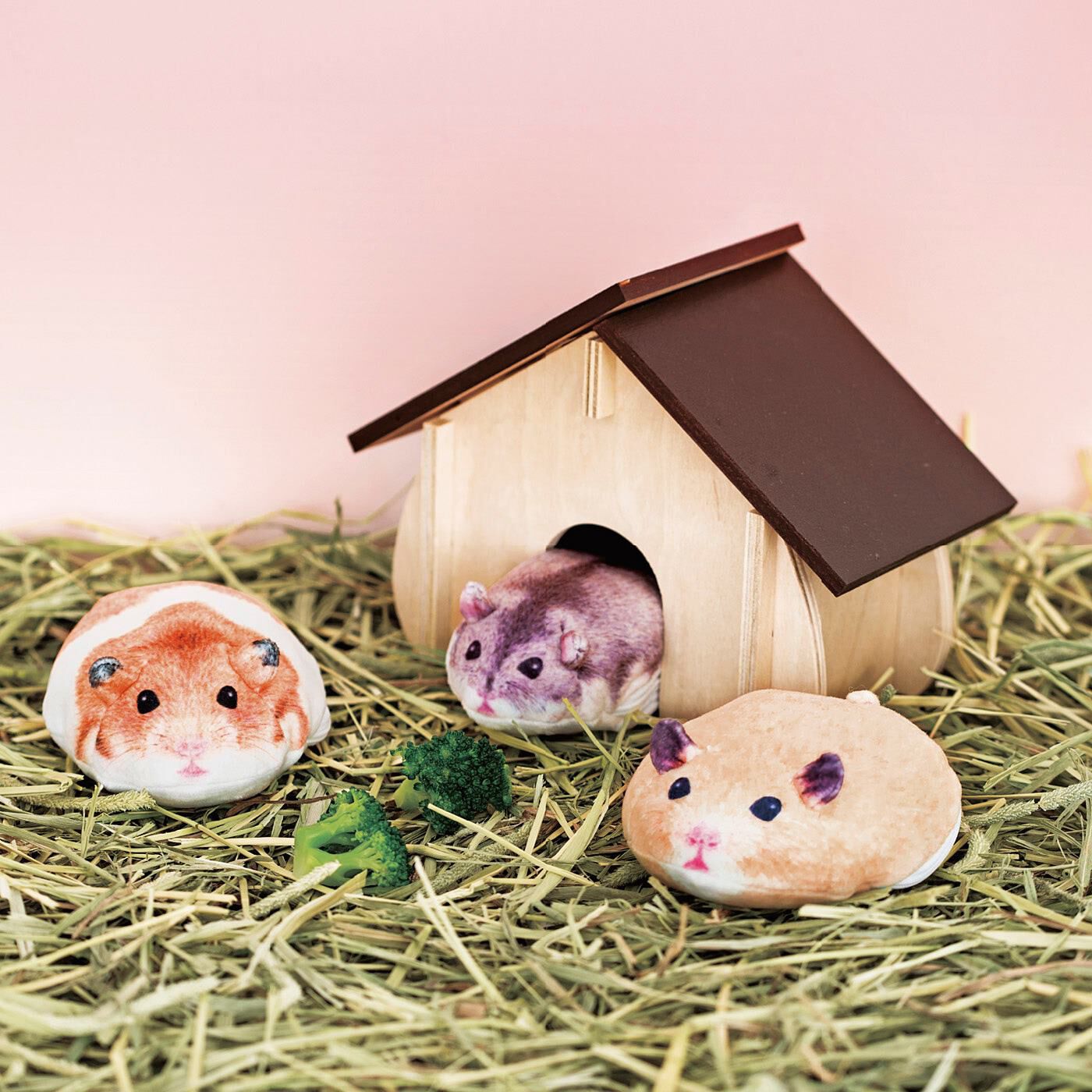 【SALE／37%OFF】 ほんのき いつもの「ありがとう」にプラス！ ちっちゃいけれど その他