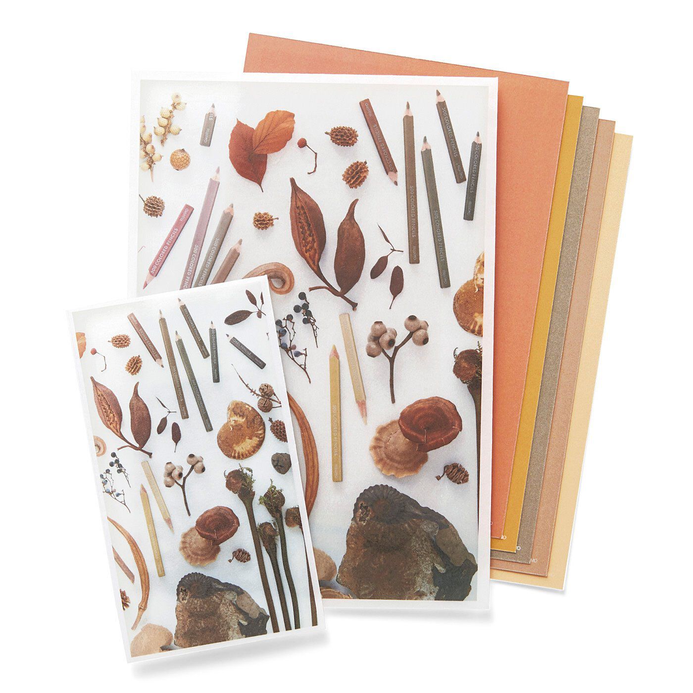 フェリシモコレクション|500色の色えんぴつ　TOKYO SEEDS　カラーメッセージを贈ろう！透け感にときめくギフト袋セットの会