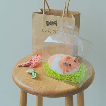 MonthlyBOX | ほんのき　クリアケース＆クラフト袋