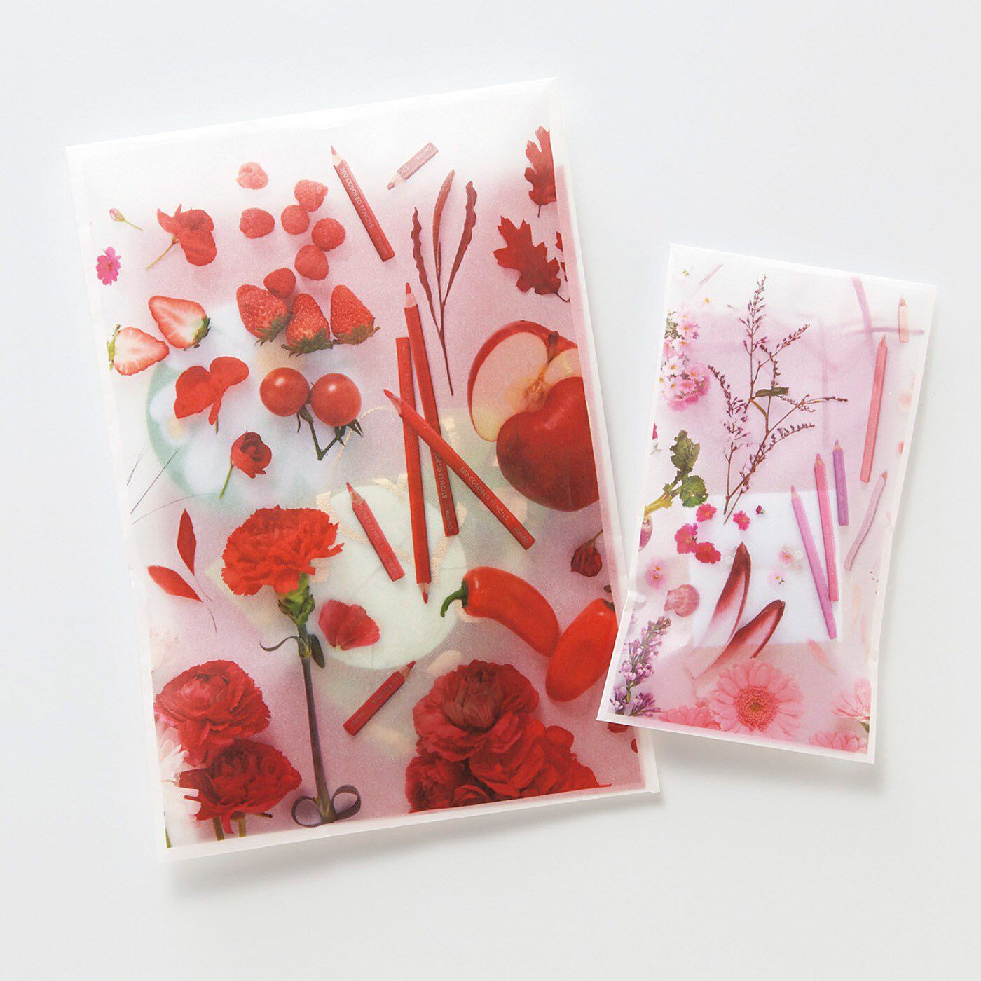 フェリシモコレクション|500色の色えんぴつ　TOKYO SEEDS　カラーメッセージを贈ろう！透け感にときめくギフト袋セットの会