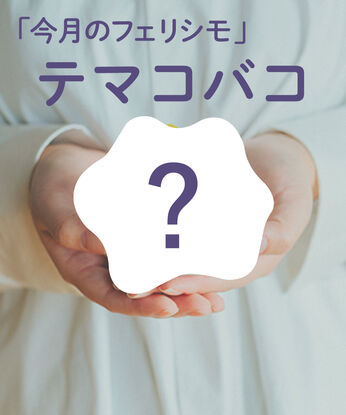 フェリシモコレクション | 定期便のテーマを楽しむ特別アイテム　テマコバコ