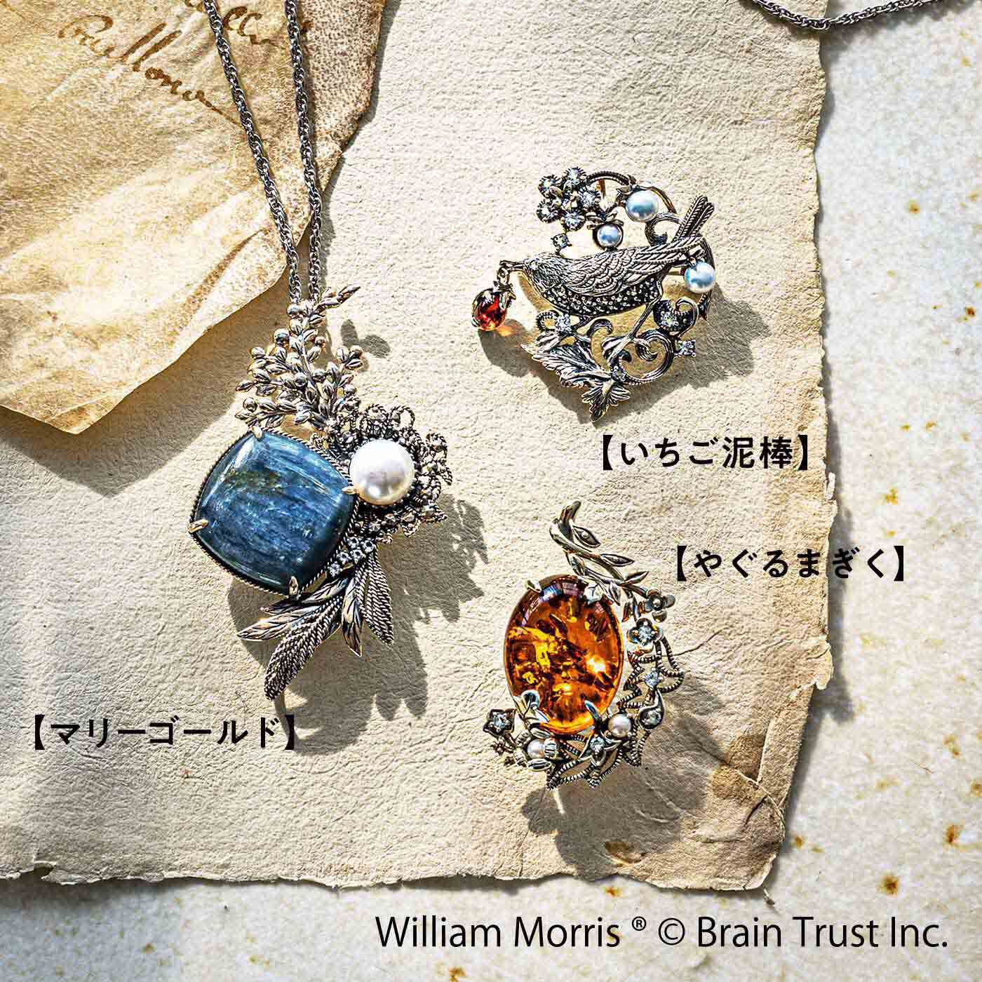 精巧な作りにうっとり ウィリアム・モリス ブローチ/ペンダントヘッド いちご泥棒
