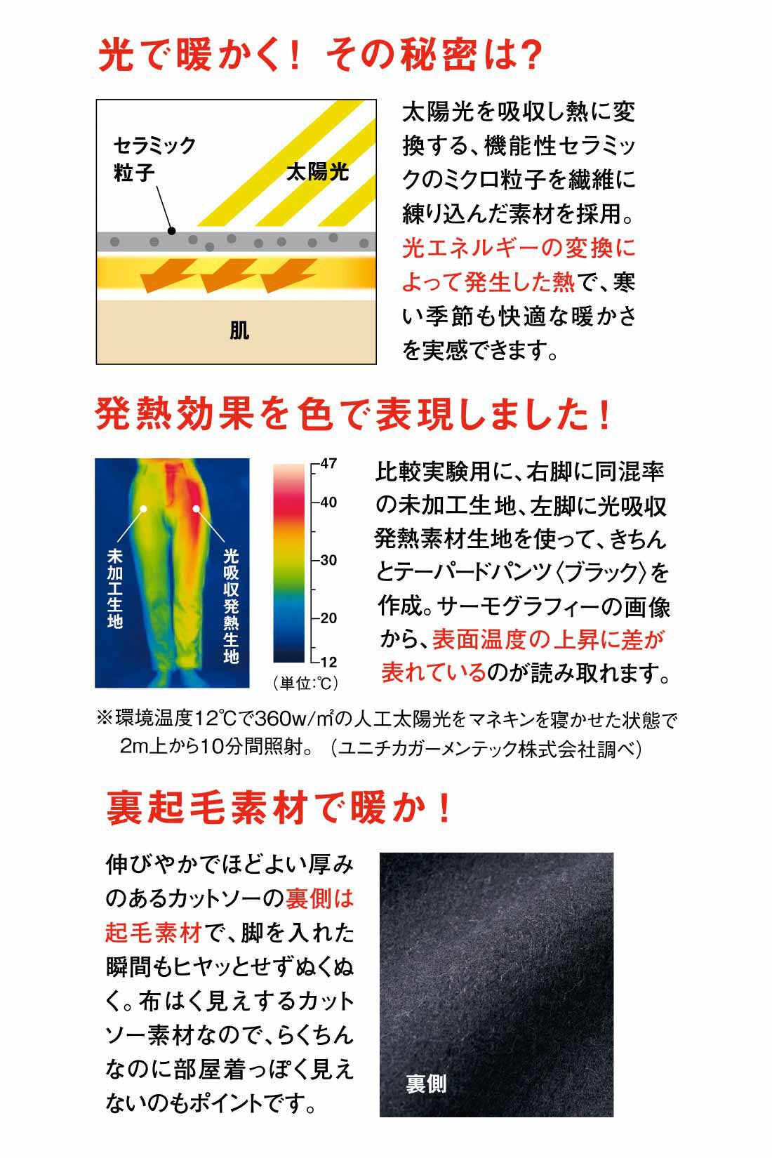 IEDIT[イディット]　光吸収発熱素材＆裏起毛でいつでも暖かな 美脚ストレッチスリムパンツ