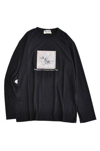 IEDIT | 牧野博士の植物図プリントＴシャツＩＥ