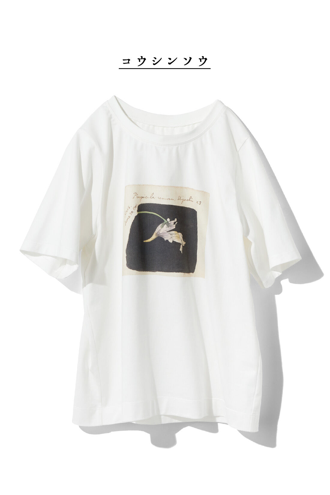 牧野植物園×IEDIT[イディット] 植物図Tシャツ〈ヤマザクラ〉｜Tシャツ 