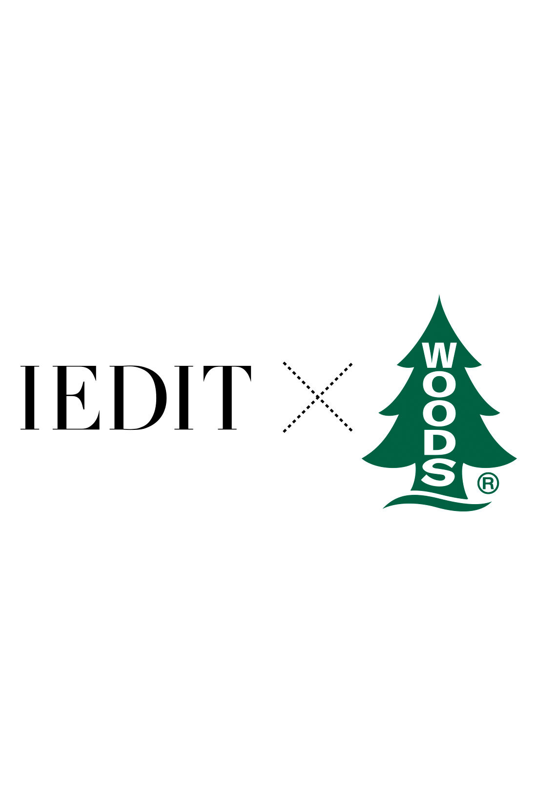 IEDIT|IEDIT[イディット]　WOODS コラボ 撥水（はっすい）フレアーカーゴスカート