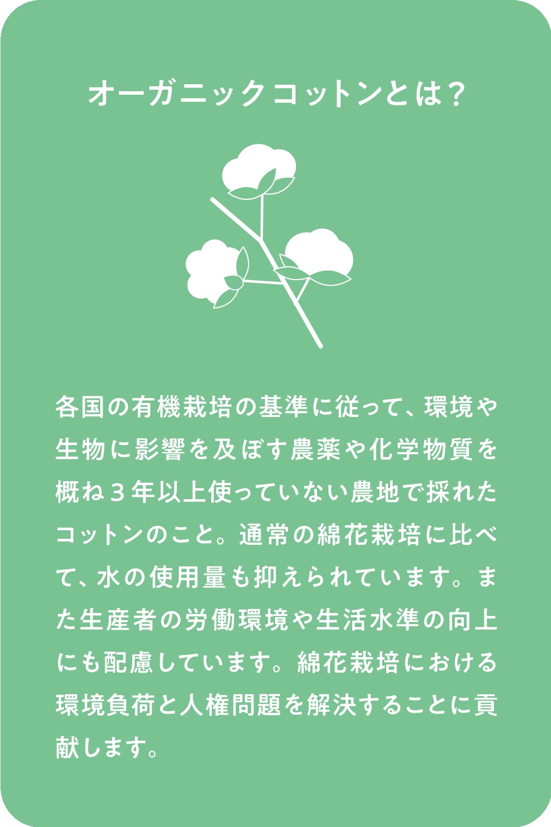 IEDIT［イディット］|Live love cotton（R）プロジェクト IEDIT[イディット]　大人のためのモノトーンフラワーロゴプリントTシャツ〈ガーベラ〉