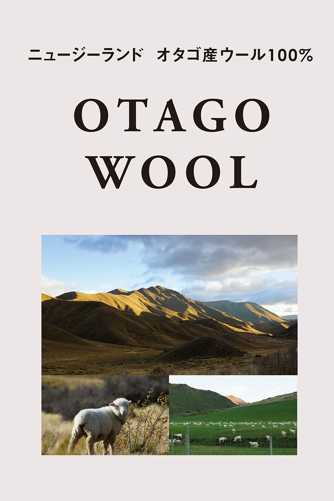 IEDIT[イディット]　OTAGO WOOL（オタゴウール）のユニセックスクルーネックニット〈オイスターホワイト〉