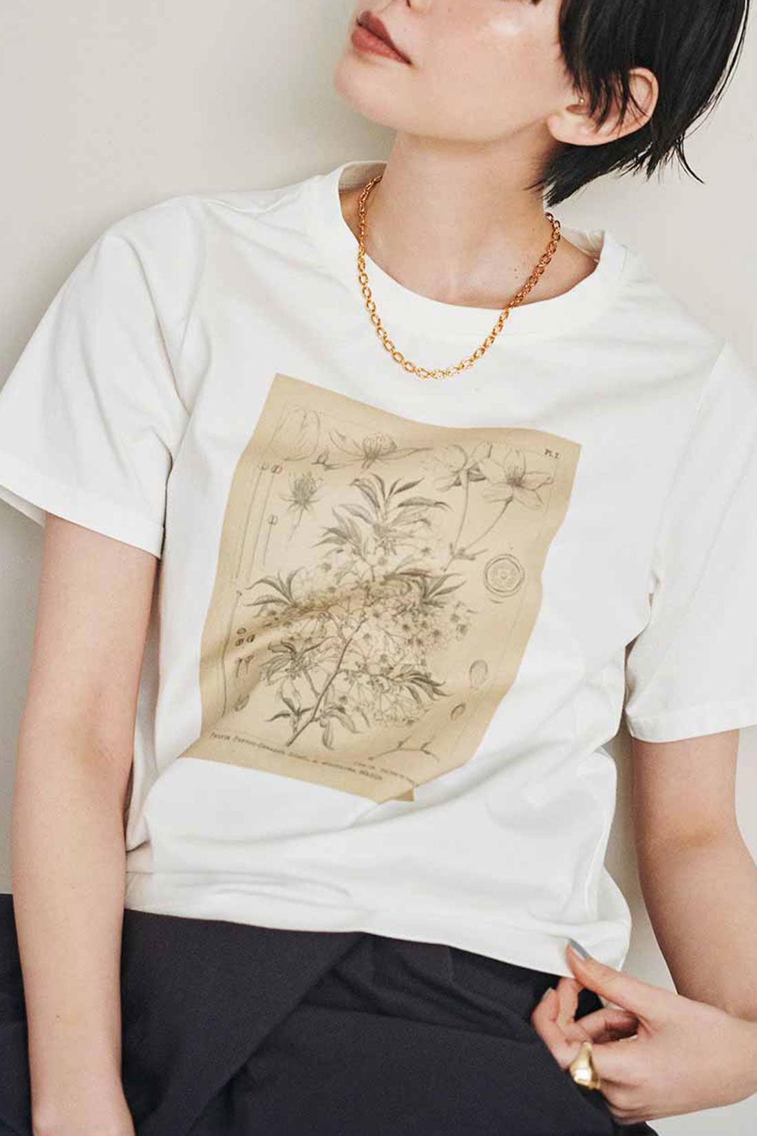 牧野植物園×IEDIT[イディット]コラボ　植物図Tシャツ〈コウシンソウ〉