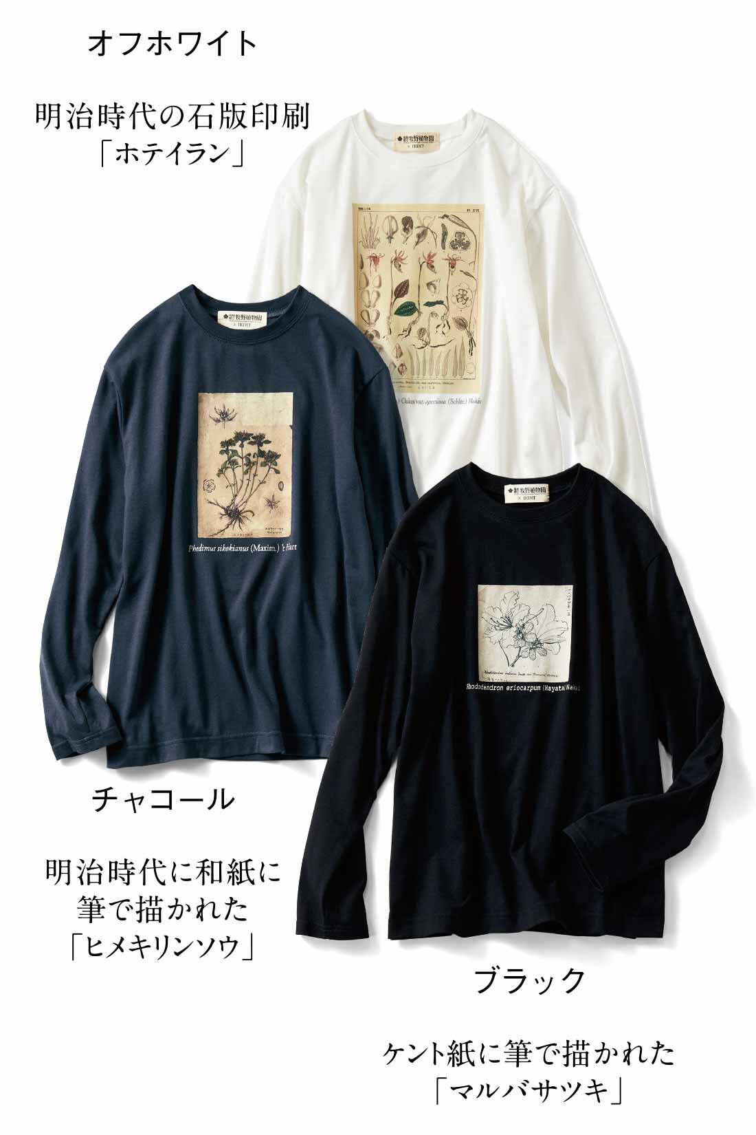 IEDIT|牧野植物園×IEDIT[イディット]コラボ 牧野博士の描いた植物図プリントTシャツ〈オフホワイト〉|ポリエステルコットンのしなやかなカットソー。