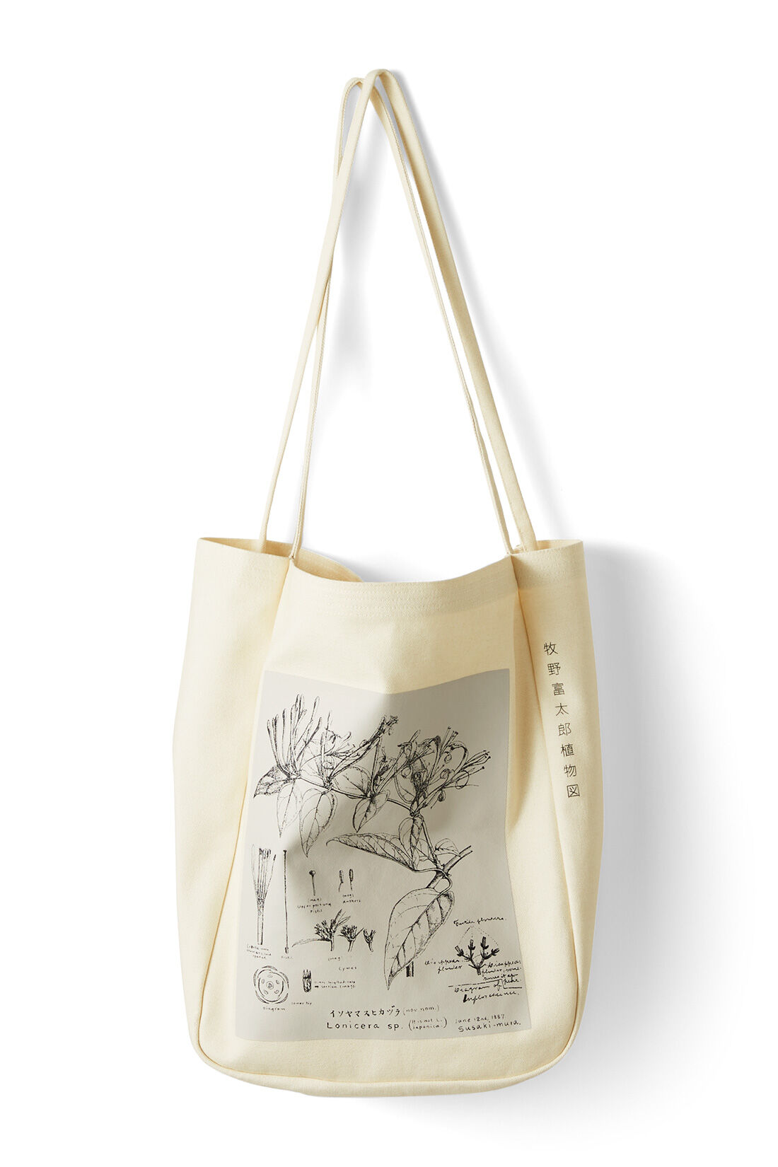 IEDIT|牧野植物園×IEDIT[イディット]コラボ 牧野博士の描いたキダチニンドウのトートバッグ〈ブラウン〉|〈エクリュホワイト〉