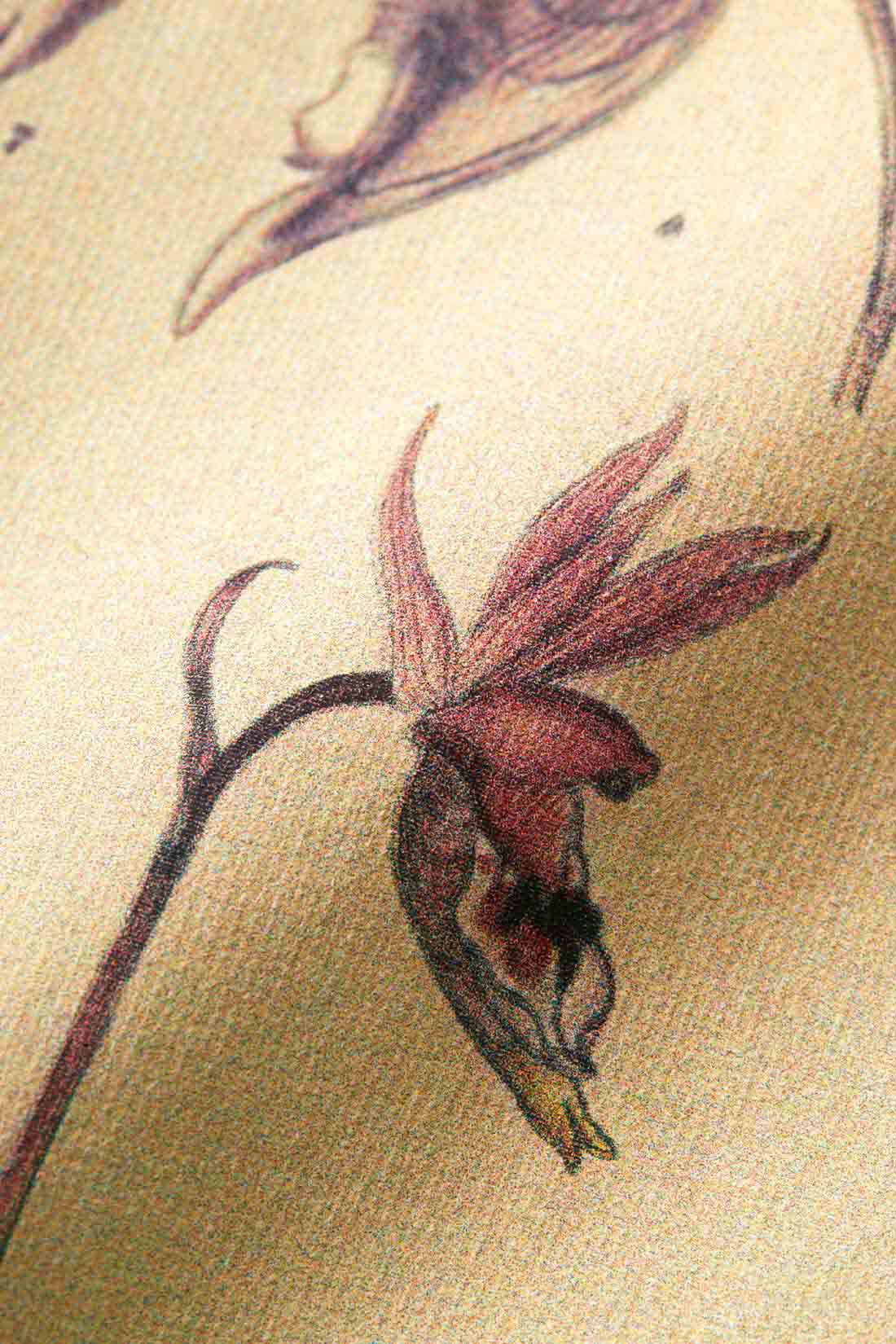 牧野植物園×IEDIT[イディット]コラボ 牧野博士の描いた植物図プリントTシャツの会|インクジェットで風合い豊かにプリントで再現。