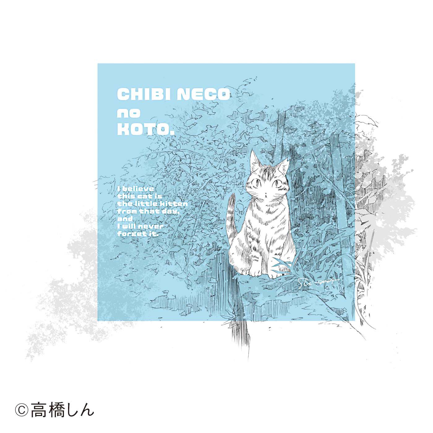 猫部|【6月分以降お届け】高橋しん×猫部　地域猫チャリティークリアファイルセット2025