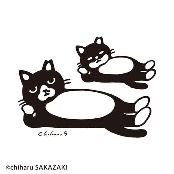 猫部 | 坂崎千春地域猫ファイル２０２２