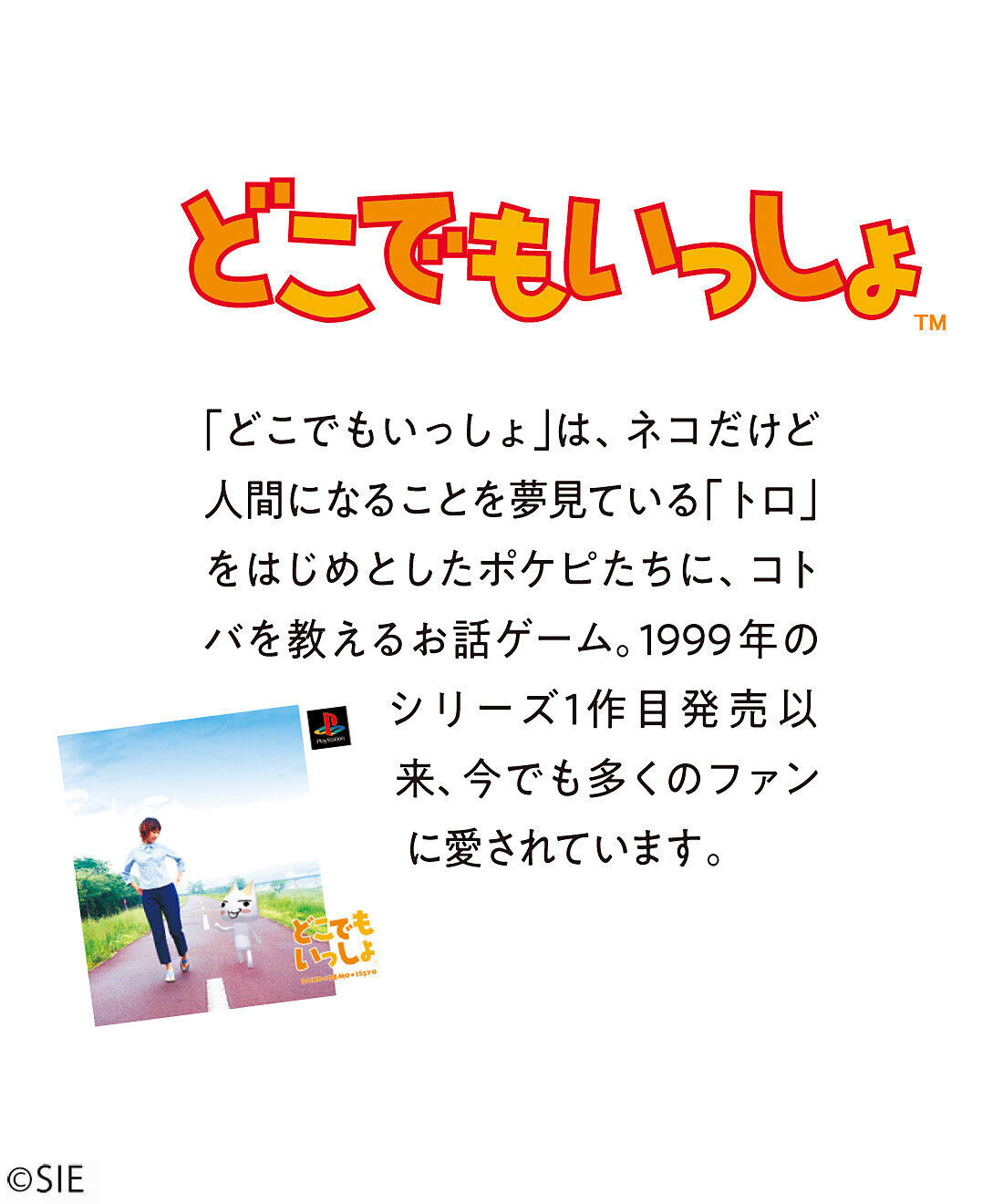 猫部|どこでもいっしょ×猫部　トロと仲間たちの養生テープの会