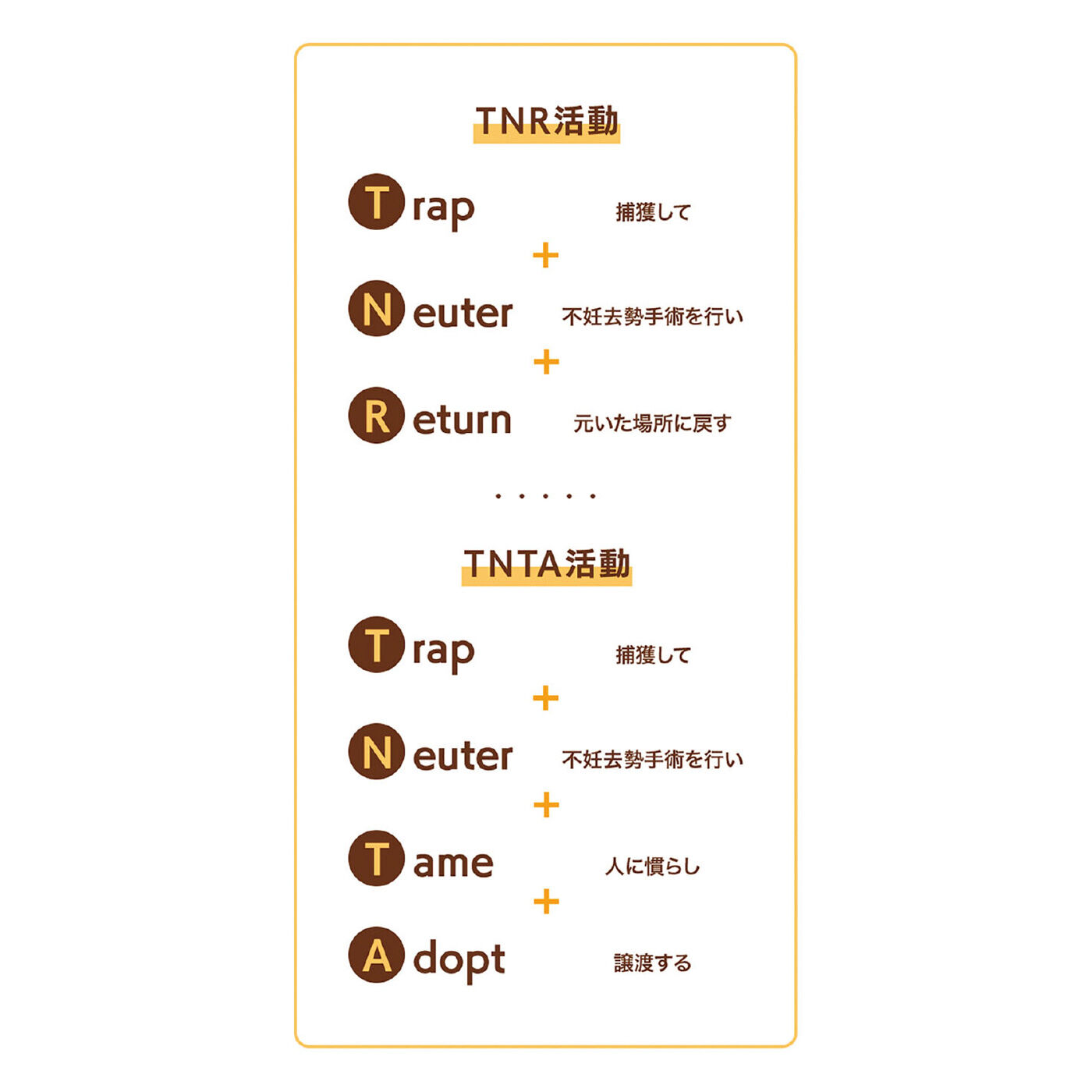 猫部|umao×猫部 地域猫チャリティークリアファイル2023|野良猫に不妊去勢手術をほどこし、エサやりの管理や、ふん尿の掃除などを地域で連携して行い、野良猫の数とトラブルを減らしていく取り組みが「地域猫活動」です。その一環として、野良猫を保護して不妊去勢手術をほどこし地域で見守るTNR（Trap：保護、Newter：不妊去勢手術、Return：地域にもどす）活動、さらに終生の里親さんを探すTNTA（後ろ2文字はTame：人に慣らす、Adopt：譲渡）活動も猫部は応援しています。