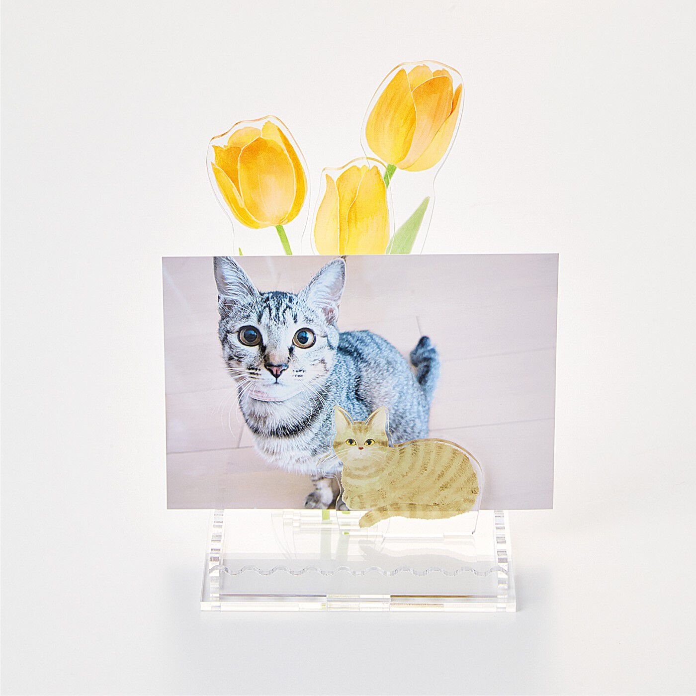 猫部|猫との暮らしに寄り添う　いつまでも美しい　お花のアクリルスタンドトレイの会|猫さんの写真を飾っても素敵！