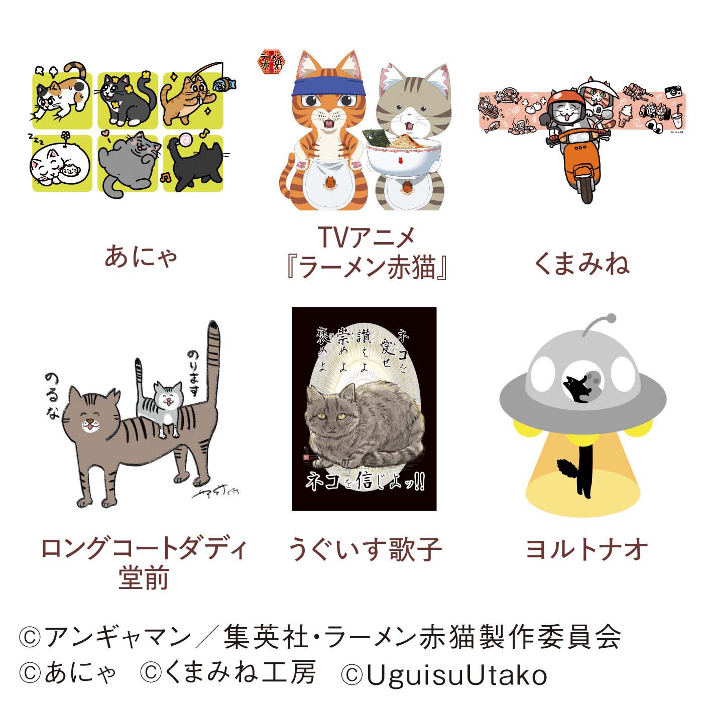 猫部|【6月分以降お届け】クリアファイルセット2025　6回予約/Dコース