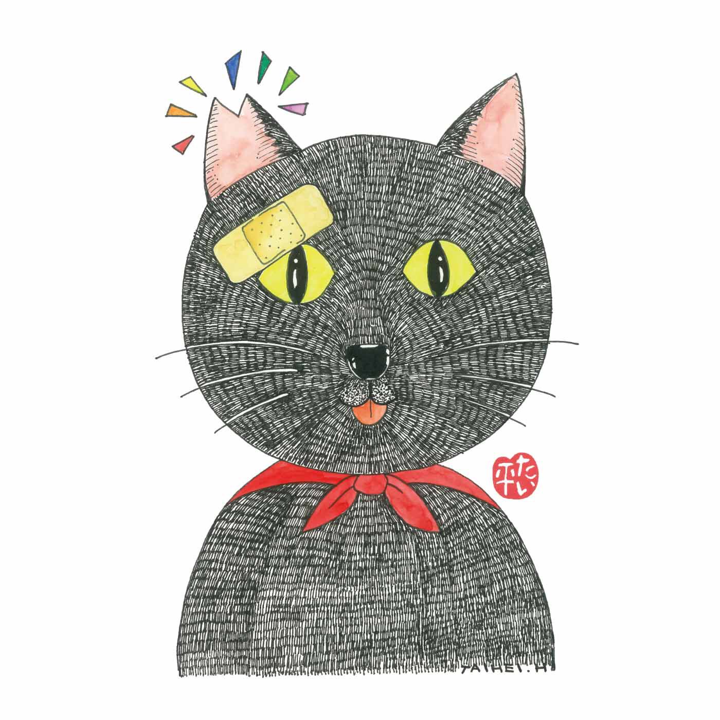 猫部|【6月分以降お届け】林家たい平×猫部　地域猫チャリティーTシャツ2025