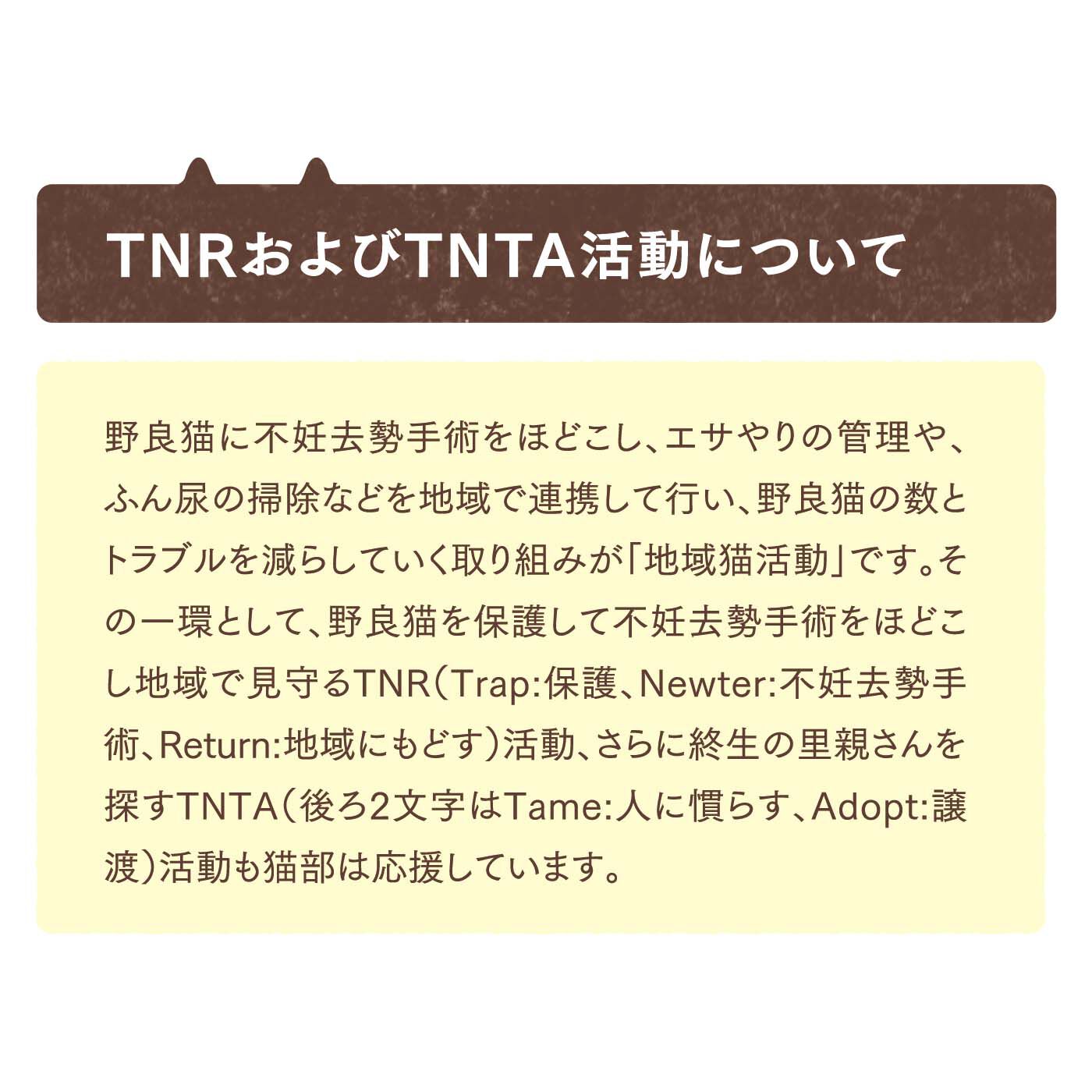 猫部|zoopi×猫部　地域猫チャリティークリアファイルセット2024