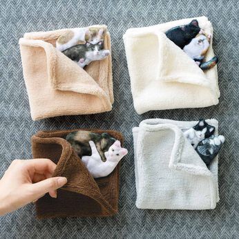 猫部 | めくると猫がいる 毛布で眠る猫ハンカチ