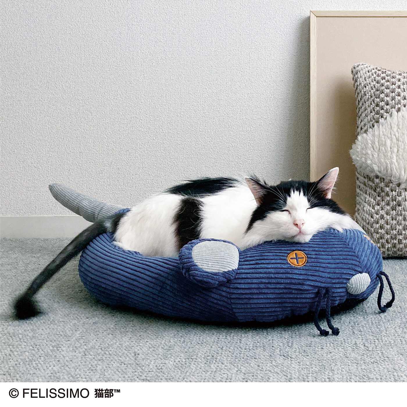 猫部|お耳がピコピコ動くチュー　遊んでくつろげるネズミさんベッドの会|（モデル猫・体重7kg）