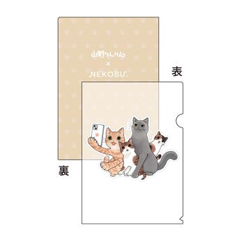 猫部 | 山野りんりん 地域猫ファイル2024