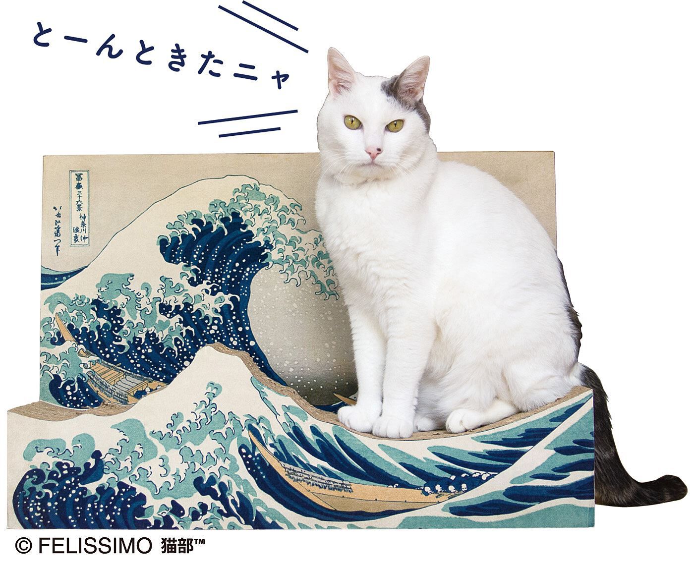 猫部|猫部×ミュージアム部　名画をたしなむ猫のつめとぎ〈葛飾北斎 神奈川沖浪裏〉