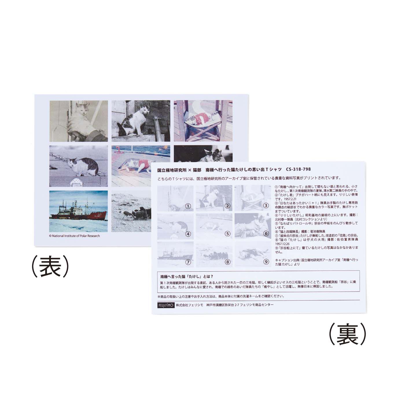猫部|国立極地研究所×猫部　南極へ行った猫たけしの思い出Tシャツ|各写真の詳細がわかるカード付きでお届け。