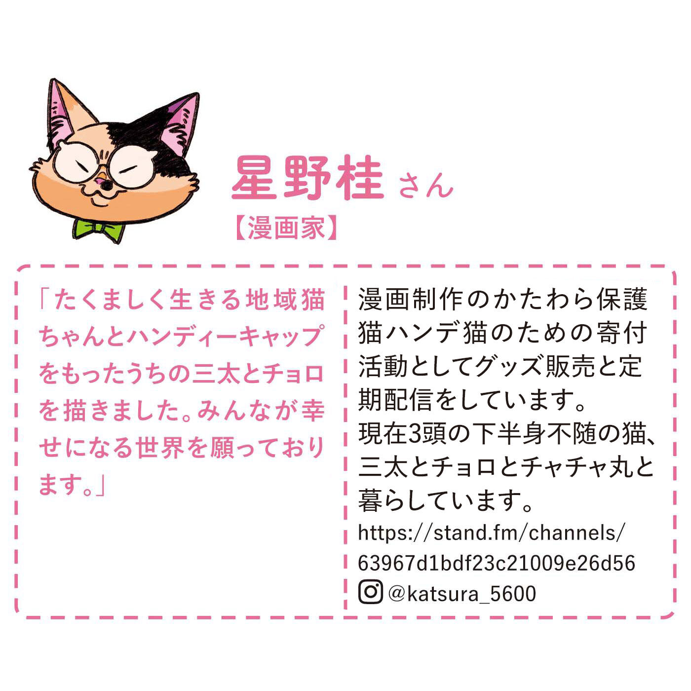 猫部|【6月分以降お届け】星野桂×猫部　地域猫チャリティークリアファイルセット2025