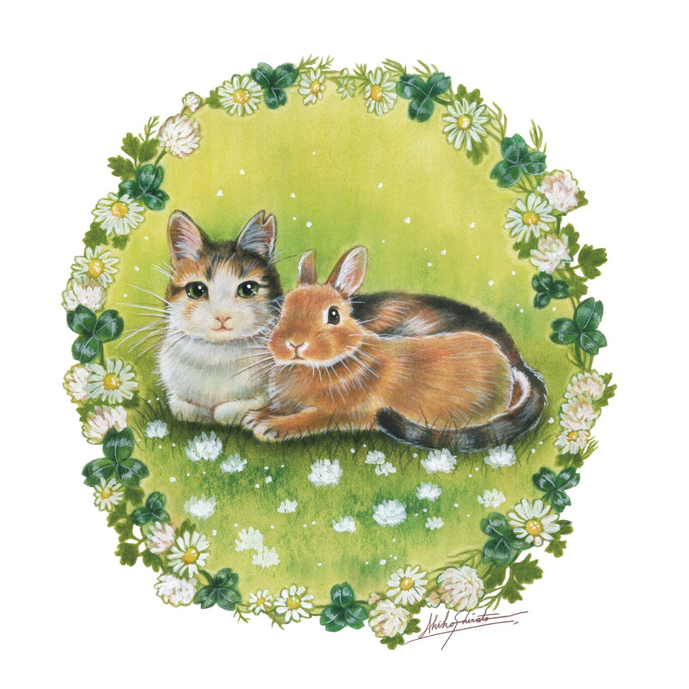 猫部|【6月分以降お届け】しらとあきこ×猫部　地域猫チャリティークリアファイルセット2025